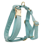 Teal corduroy pet harness with gold hardware and side strap rings