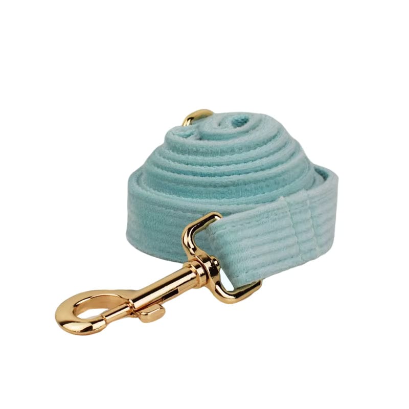 Teal corduroy pet leash with gold clasp and swivel hook