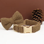 Brown teddy dog collar with bowtie and gold engraved ID plate close-up