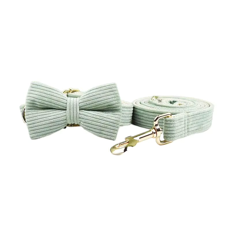 Light green corduroy bowtie and collar with matching leash, gold-tone hardware