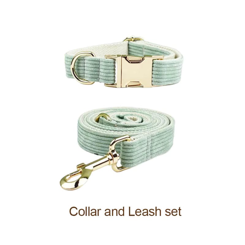 Light green corduroy collar and leash set with gold-tone hardware