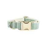 Light green corduroy pet collar with gold-tone buckle and D-ring hardware