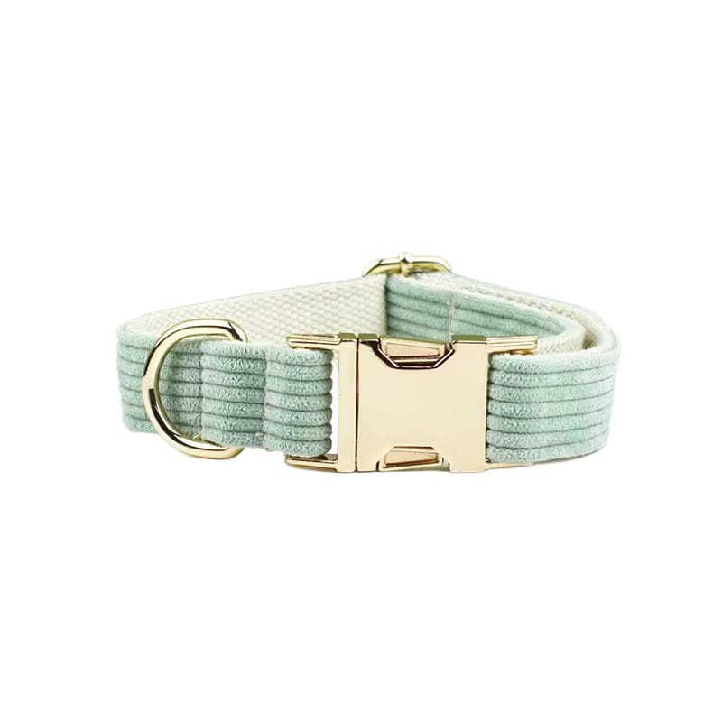Light green corduroy pet collar with gold-tone buckle and D-ring hardware