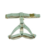 Light green corduroy pet harness set with gold-tone rings and adjustable straps