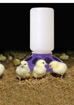 Purple plastic feeder base with screw-on white jar for waterer