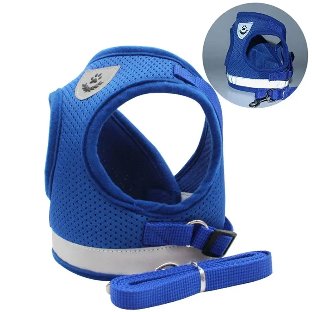 Reflective cat harness and leash set in blue, close view of straps and buckle
