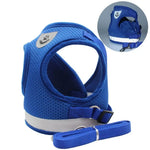 Reflective cat harness and leash set in blue, close view of straps and buckle