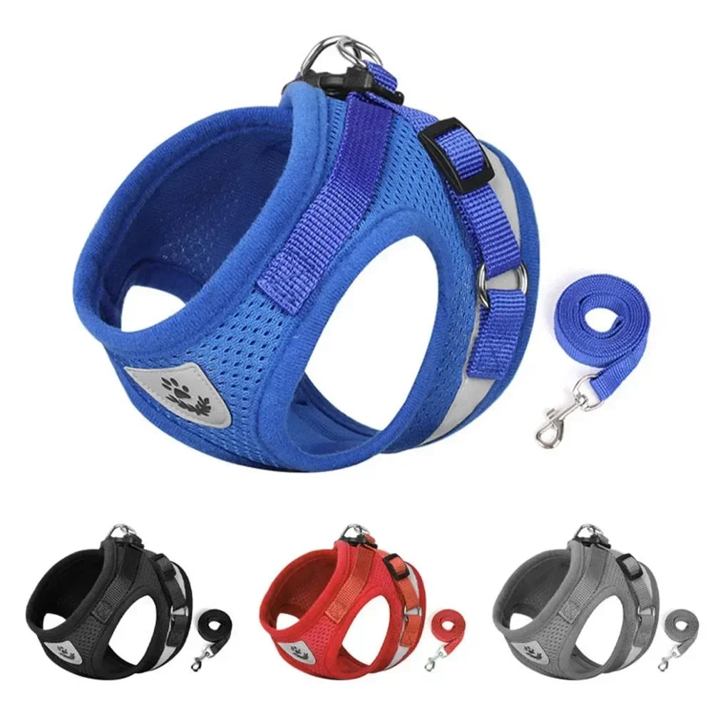 Reflective cat harness and leash set in blue with matching leash strap