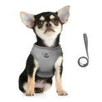 Reflective cat harness and leash set in grey on a standing dog
