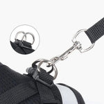 Reflective cat harness with metal D-rings and clasp on the leash