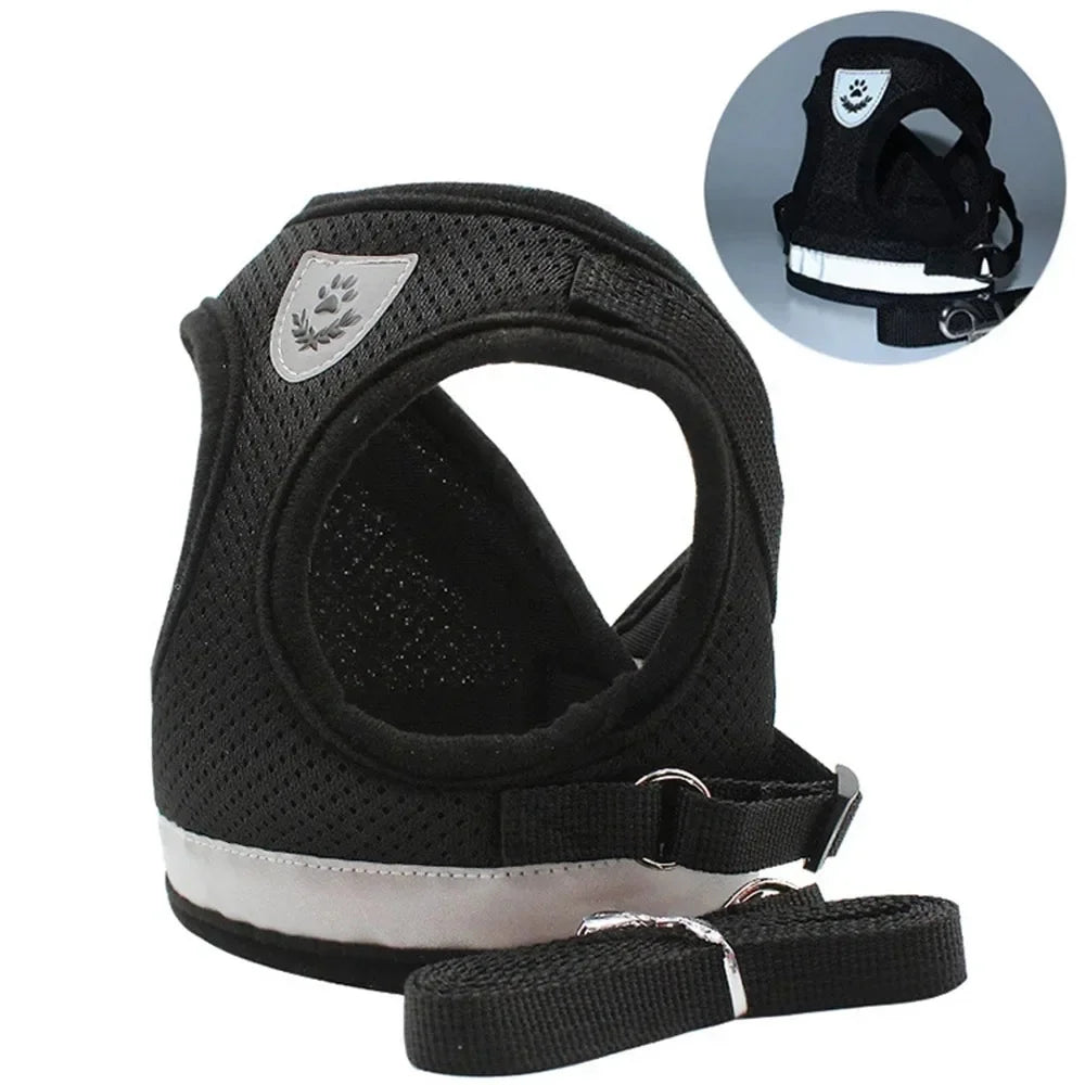 Reflective cat harness and leash set in dark grey/black, close view