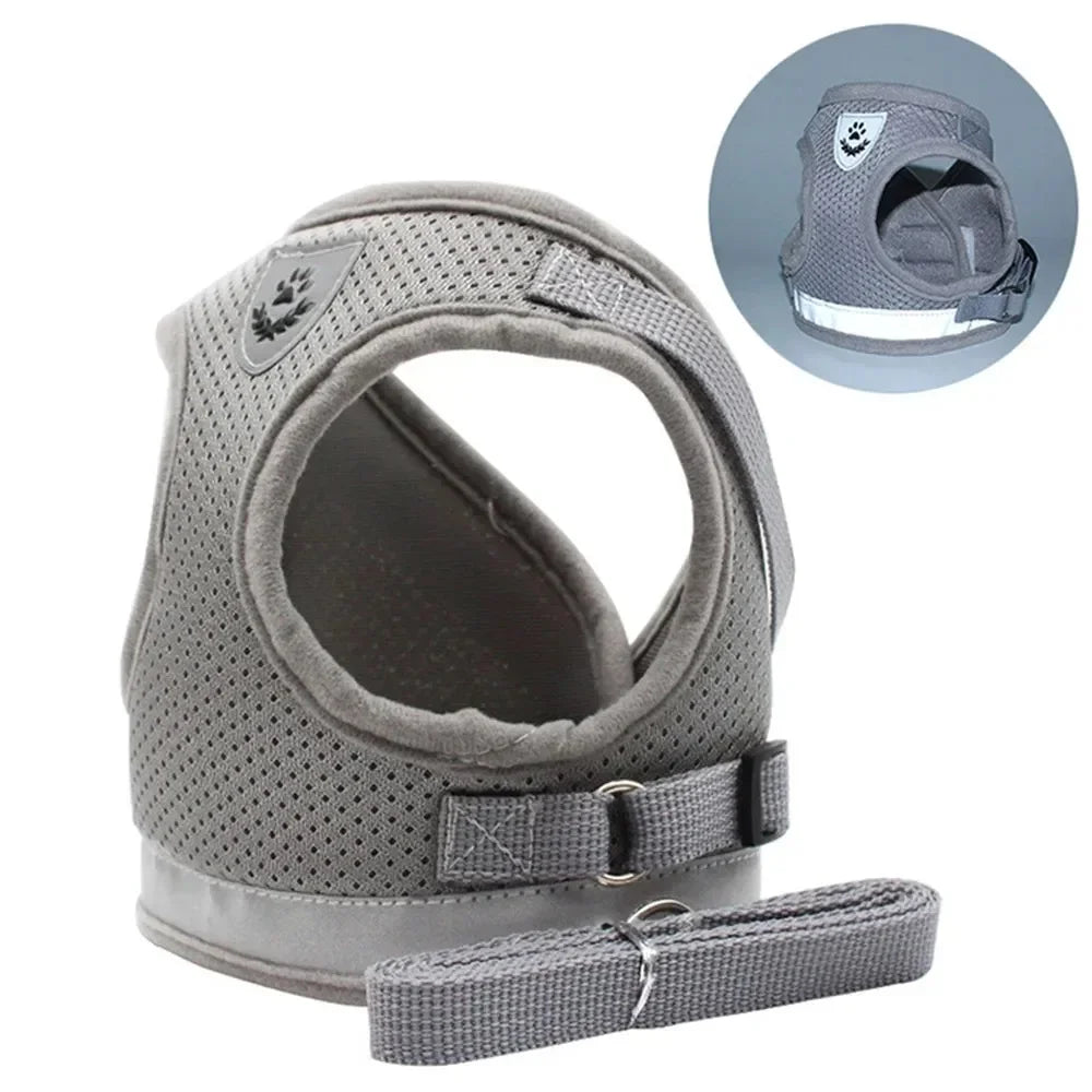 Reflective cat harness and leash set in light grey with reflective band