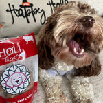 Yorkshire terrier dog with freeze-dried beef liver treats pouch nearby