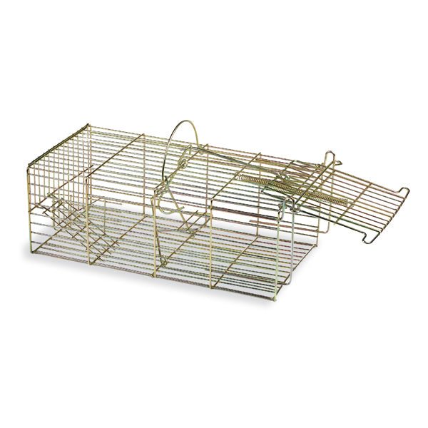 Humane live mouse trap, rectangular gold wire cage with multiple entry sections