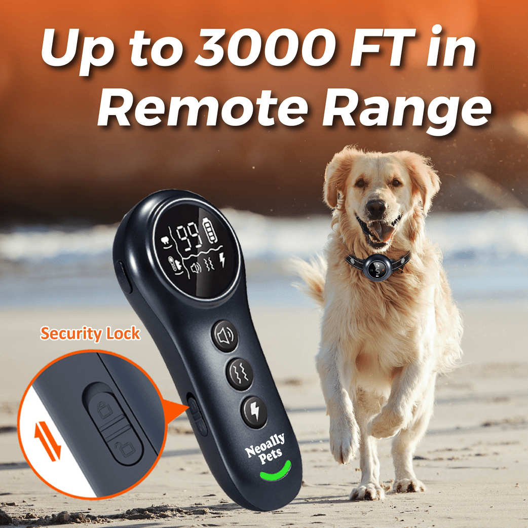 Dog training collar remote and receiver with adjustable fabric strap, black