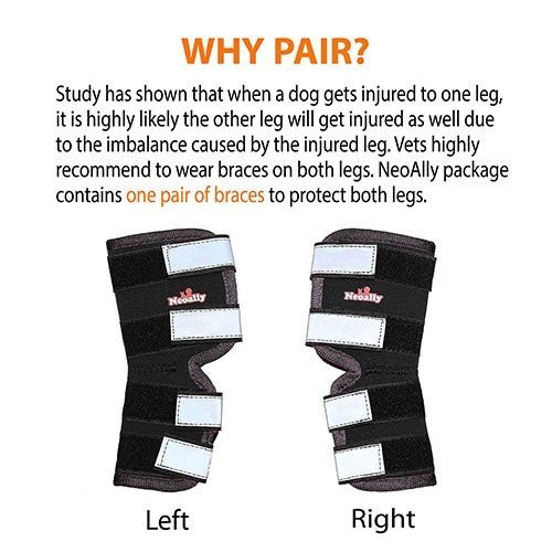 Pair of black rear leg hock braces, left and right versions with reflective strap panels