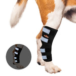 Dog wearing black rear leg hock brace with four white reflective strap panels
