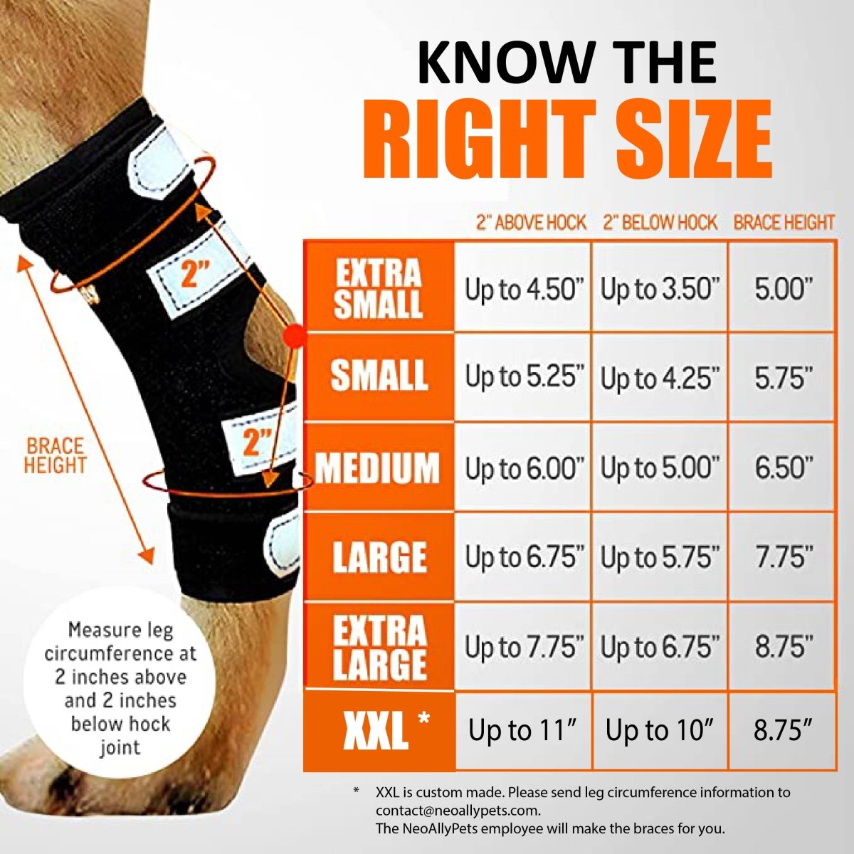 Black rear leg hock brace on a dog's leg; reflective straps with size guide chart