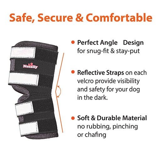 Black rear leg hock brace with white reflective straps on a close-up view