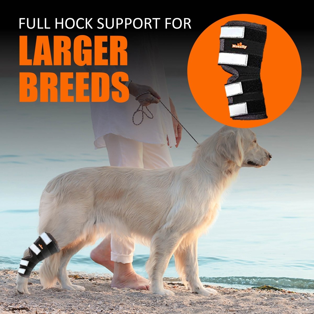 Dog rear leg hock brace with black wrap and reflective straps on gray fur