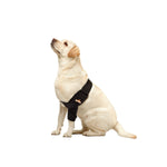 Dog elbow brace on sitting dog, black padded sleeve on front leg