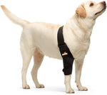 Dog elbow brace on standing dog, black padded sleeve wraps elbow and forearm