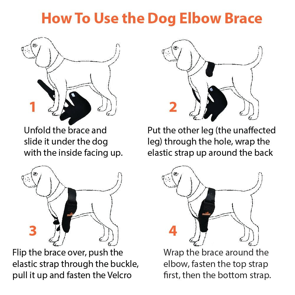 Instruction diagram for using a dog elbow brace with four steps