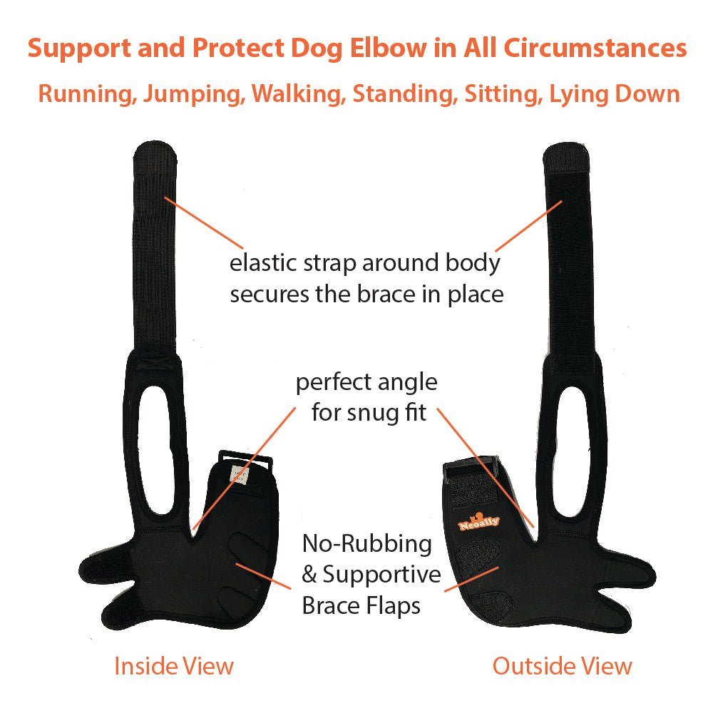 Dog elbow brace support diagram showing black brace and strap placement
