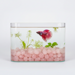 Rose quartz tumbled stones in clear glass bowl, pink polished beads