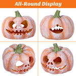 Set of pumpkin resin fish hideout views, carved jack-o-lantern face and green stem