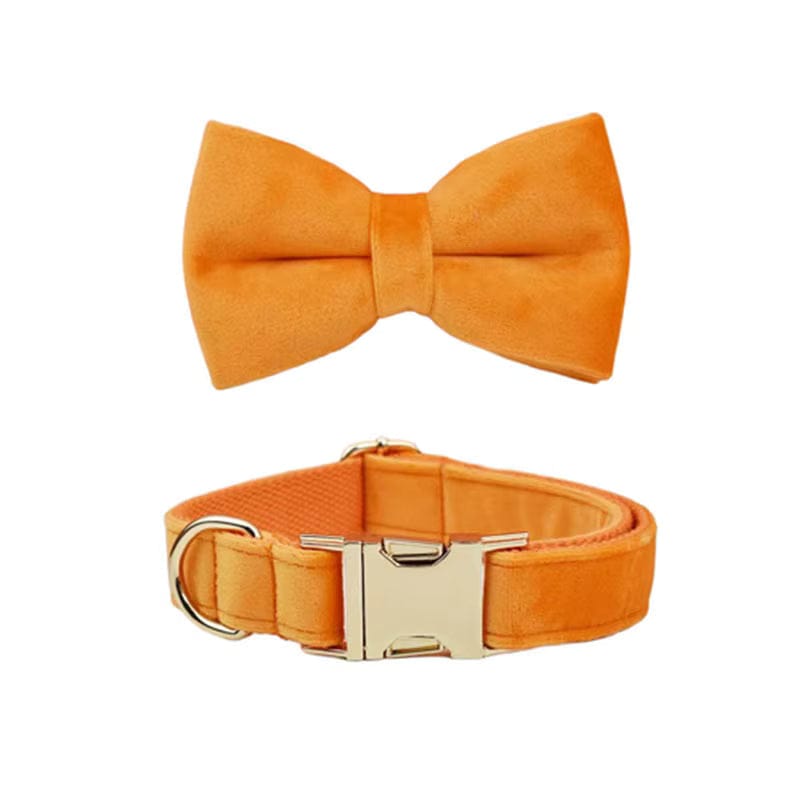Orange velvet bowtie and matching dog collar with metal buckle and clip hardware