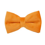 Orange velvet dog bowtie with center knot