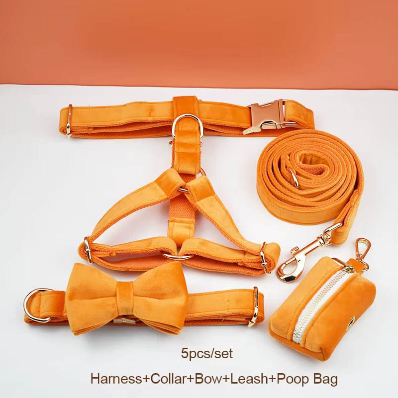Orange velvet dog harness set with collar, bowtie, leash, and poop bag holder