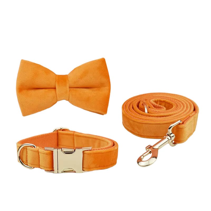 Orange velvet bowtie, collar, and matching leash set