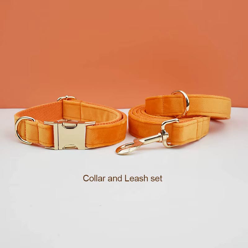 Orange velvet collar and leash set with silver-tone hardware