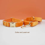 Orange velvet collar and leash set with silver-tone hardware