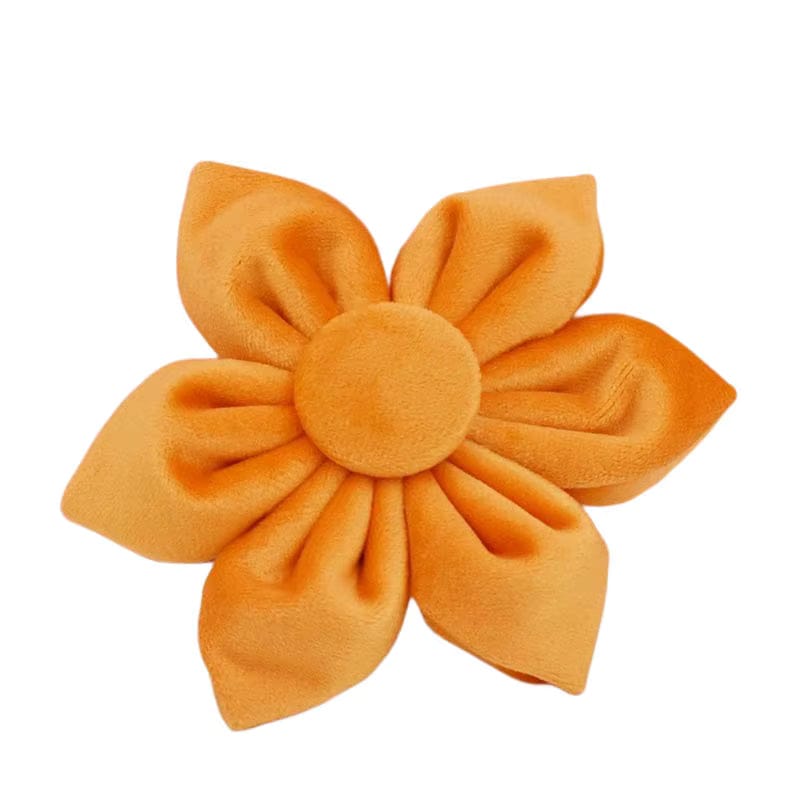 Orange velvet flower accessory for dog collars