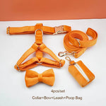 Orange velvet dog set: harness, collar, bowtie, leash, and poop bag holder