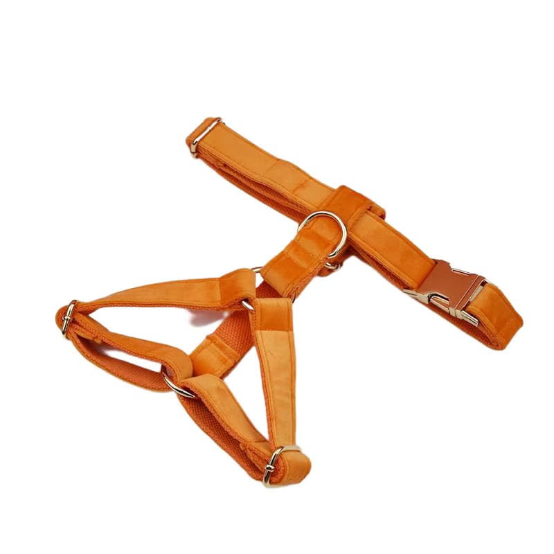 Orange velvet dog harness and collar set with silver-tone buckles