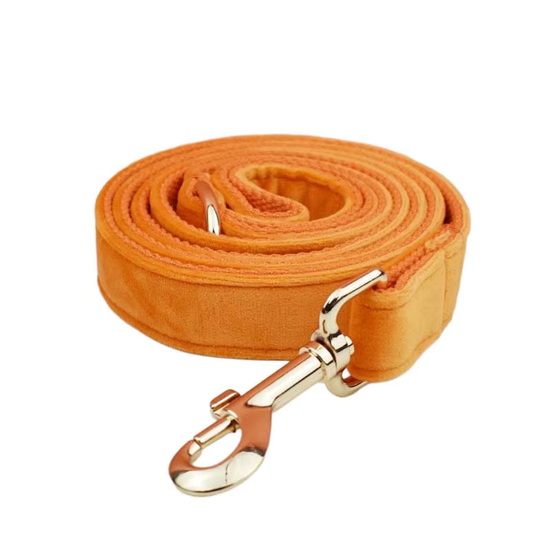 Orange velvet dog leash with matching loop handle and silver-tone clips