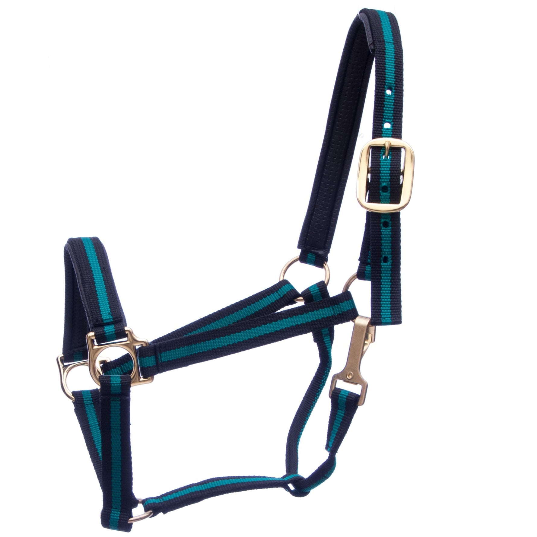 Padded nylon horse halter with throat snap, navy with teal stripe webbing