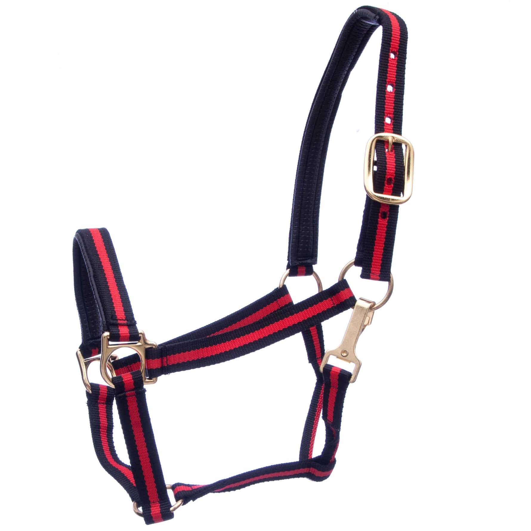 Padded nylon horse halter with throat snap, navy, red and blue stripe webbing