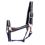 Padded nylon horse halter with throat snap, dark navy with beige stripes, gold buckles