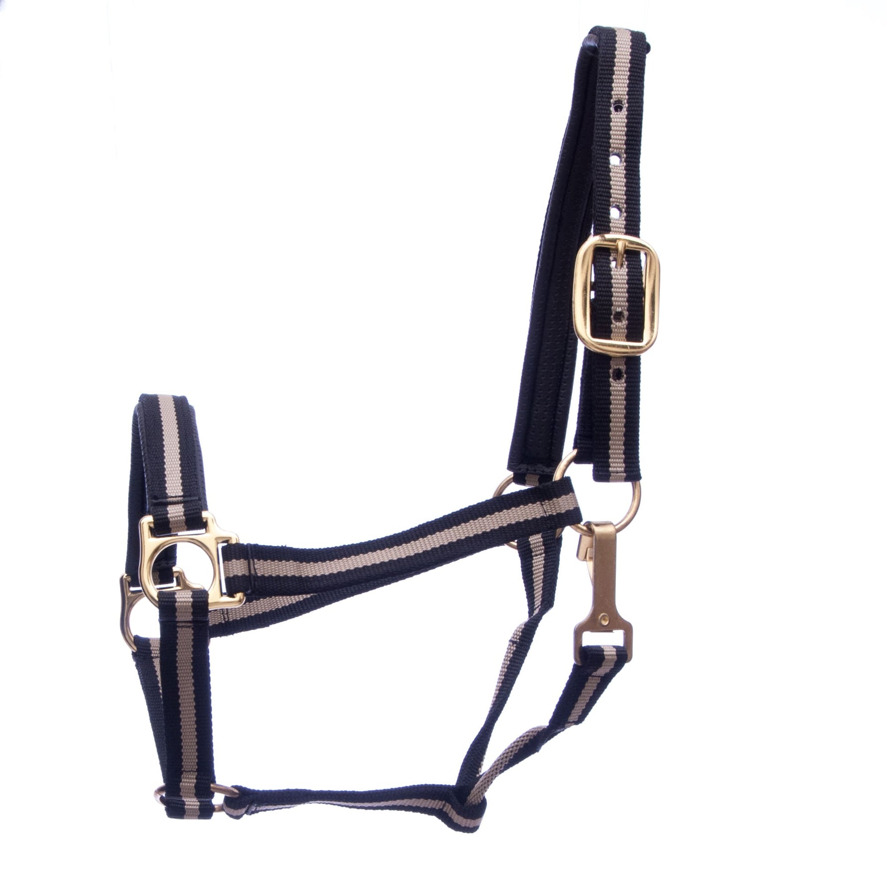 Padded nylon horse halter with throat snap, dark navy with beige stripes, gold buckles