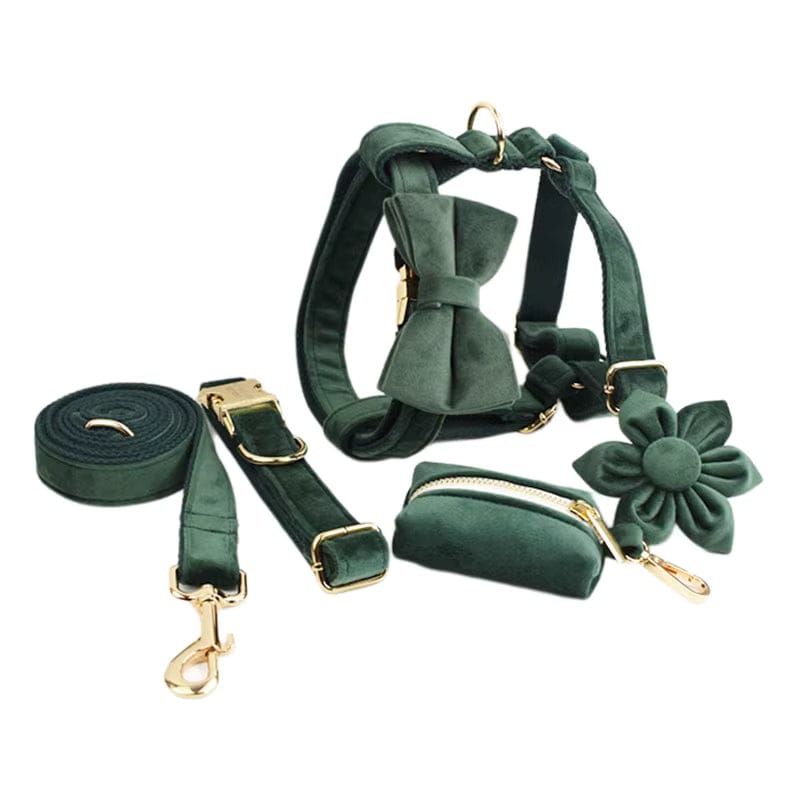 Teal velvet dog set: harness, collar, leash, pouch, and flower bow tie accessory
