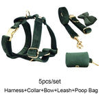 Teal velvet dog harness, leash, collar, bow tie, and poop bag holder set