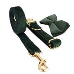 Teal velvet dog leash with matching poop bag holder and bow tie accent