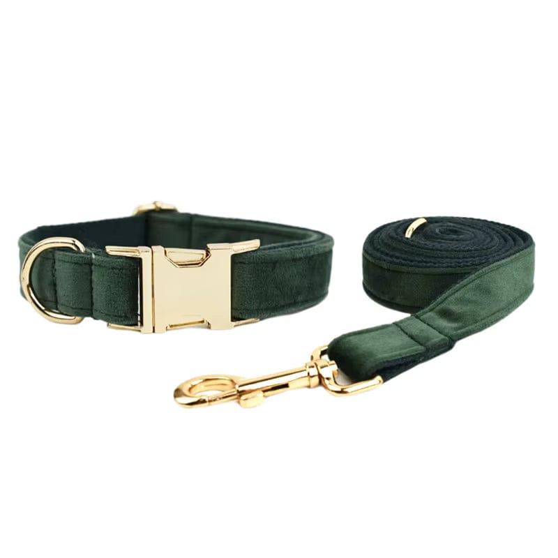 Teal velvet dog collar and matching leash set with gold-tone hardware