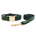 Teal velvet dog collar and matching leash set with gold-tone hardware