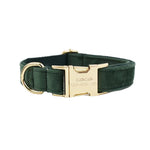 Teal velvet dog collar with gold-tone buckle and engraved tag plate